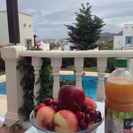 Villa Holiday Gardens